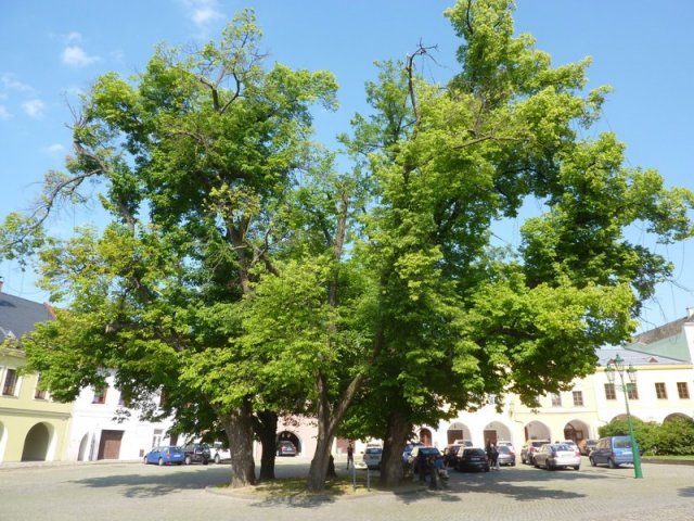 2015